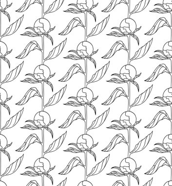 Şakayık tomurcukları ile sorunsuz vektör desen. Grafik tasarım, tekstil tasarımı veya web tasarım için kullanılabilir.