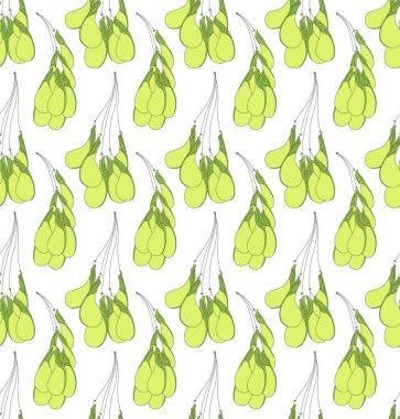 Yeşil akçaağaç tohumu ile sorunsuz vektör desen. Grafik tasarım, tekstil tasarımı veya web tasarım için kullanılabilir.