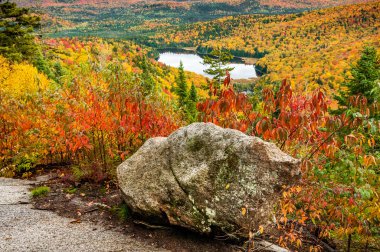 Rock ve çam ağaçları, ağaç ve sonbaharda maples Quebec bir ormandaki küçük bir göl