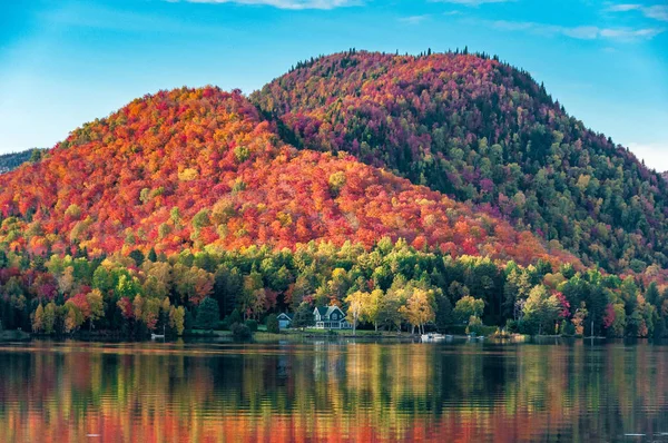 Les Collines Couvertes Forêts Érable Rouge Derrière Une Maison Bois — Photo