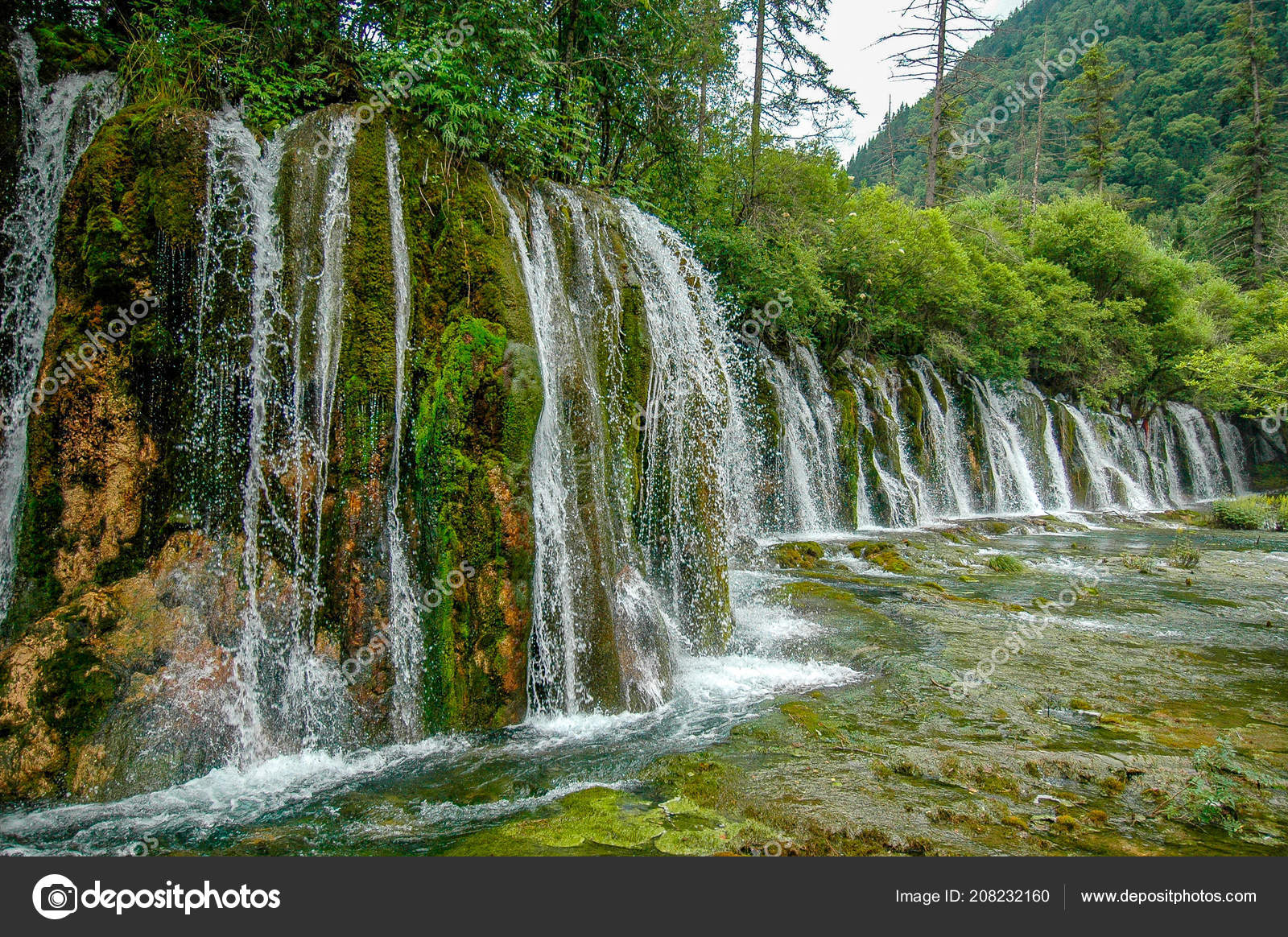 depositphotos_208232160-stock-photo-panda-falls-lush-vegetation-jiuzhaigou.jpg
