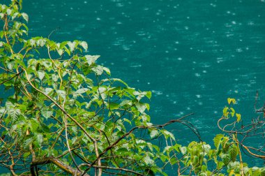 Yağmur Gölü su yeşillik arkasında daireler Jiuzhaigou parkta yapar.