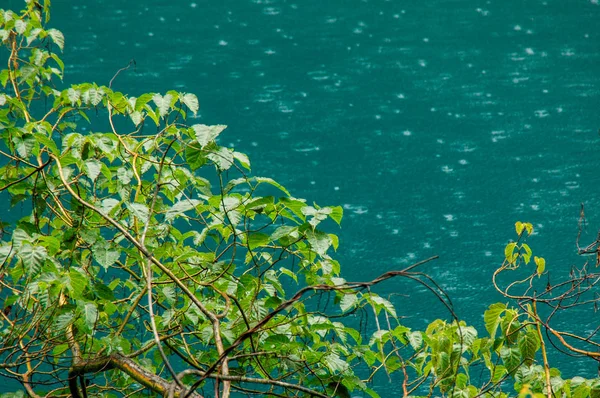 Rain Makes Circles Lake Water Foliage Jiuzhaigou Park — Stock Photo, Image