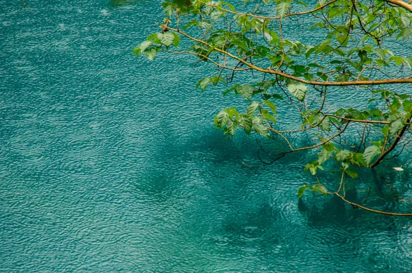 Rain makes circles on lake water behind foliage in Jiuzhaigou Park