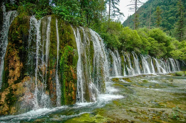 Jiuzhaigou Parkı Sichuan Çin Zengin Bitki Örtüsünün Falls Panda — Stok fotoğraf