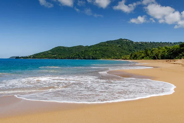 Skummet Fra Bølge Som Kommer Stranden Guadeloupe Vestindia – stockfoto