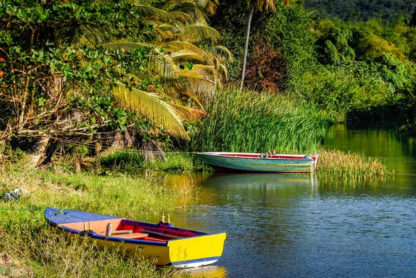 Batı Hint Adaları Guadeloupe Adası'nın kıyısında bir Nehri'nin ağzında iki renkli tekne palamarla