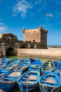 Mavi balıkçı tekneleri filosu birlikte bağlantı noktası Essaouira Fas'ta huddled. Ayrıca sur duvarları ve Mogador kalesinin Kulesi görebilirsiniz