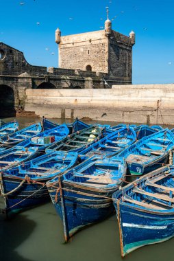 Mavi balıkçı tekneleri filosu birlikte bağlantı noktası Essaouira Fas'ta huddled. Ayrıca sur duvarları ve Mogador kalesinin Kulesi görebilirsiniz