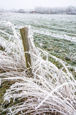 Kırsalda dondurucu bir sabah