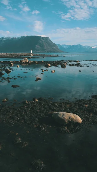 Yosun ile kaplı taşlı bir plaj, hava fotoğrafı, Godoy adasında deniz feneri Hogsteinen görünümü, Daha og Romsdal, Norveç 2019