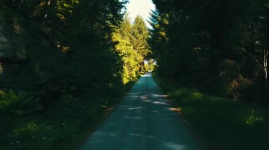 Ağaçlar ve kayalar arasında yavaşça uçan drone. Norveç 2020 (4K). Güneşli bir yaz gününde çekilmiş. Kullanılan nötr filtre ND32