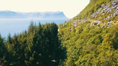 Yol boyunca, orman ve dağlar arasında, elektrik hattı boyunca yavaş bir uçuş. Norveç 2020 (Çekim 4K)