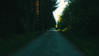 Ağaçların arasından uçarak geçeceğiz. Norveç 2020 (Çekim 4K)