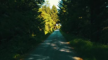 Ağaçlar arasındaki yolda yavaşça uçan drone. Norveç 2020 (Çekim 4K)
