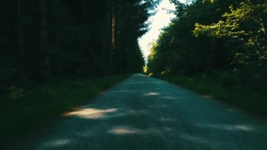 Ağaçların arasındaki yolda yavaşça uç. Norveç 2020 (Çekim 4K)