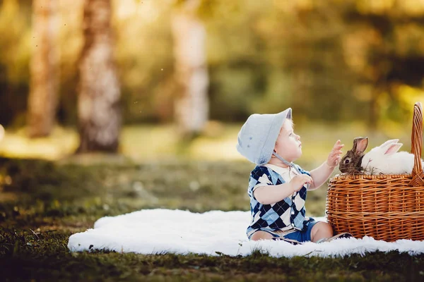 Menino brincando com coelhos — Fotografia de Stock