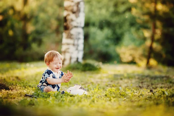 Little boy playing with rabbits — Stock Photo, Image