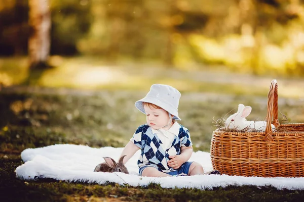 Menino brincando com coelhos — Fotografia de Stock