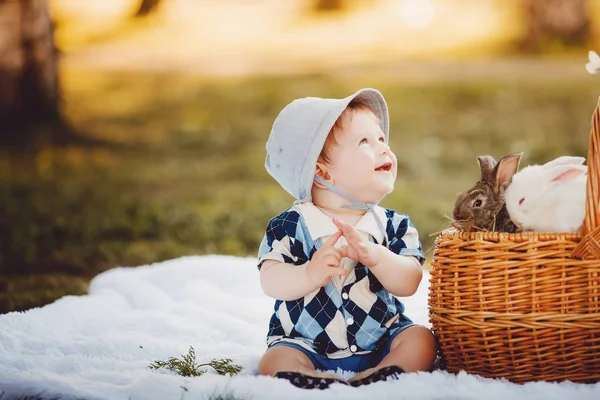 Menino brincando com coelhos — Fotografia de Stock