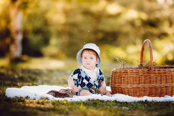 Маленький мальчик играет с кроликами в парке — стоковое фото