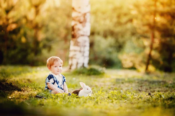 Menino brincando com coelhos no parque — Fotografia de Stock