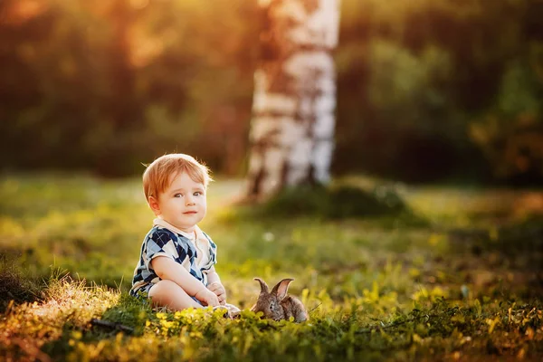Küçük çocuk parkta tavşan ile oynuyor — Stok fotoğraf