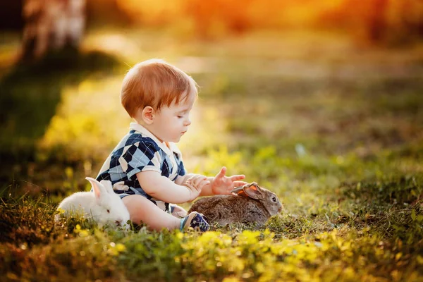 O menino está brincando com um coelho no parque — Fotografia de Stock