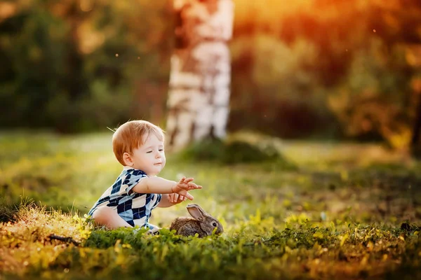 小男孩在公园里玩兔子 — 图库照片
