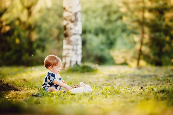 O menino está brincando com um coelho no parque — Fotografia de Stock