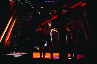 Boksörler fighters mücadele