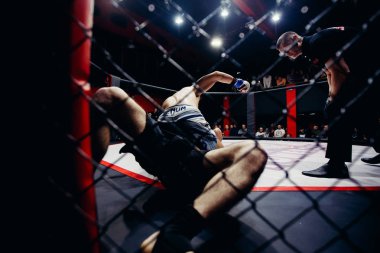 Boksörler fighters mücadele