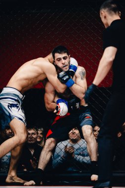 Boksörler fighters mücadele