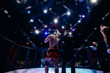 Boksörler fighters mücadele