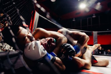 Boksörler fighters mücadele