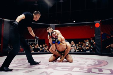 Boksörler fighters mücadele