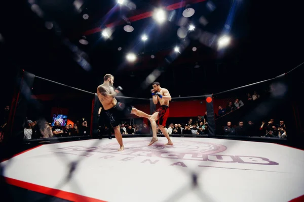 Boxers fighters fight — Stock Photo, Image