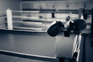 Ringde boks eldivenleri