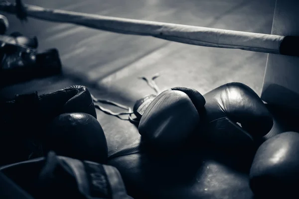 Boxing gloves in the ring — Stock Photo, Image