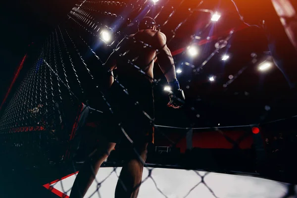 Боєць стоїть на рингу перед бійкою — стокове фото