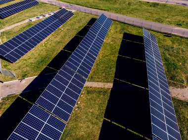 yaz günü yeşil çim ve güneş gölge parlak kontrast