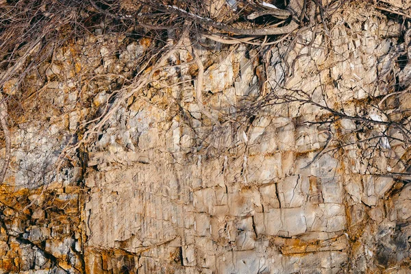 Corte de la roca y el suelo de la tierra — Foto de Stock