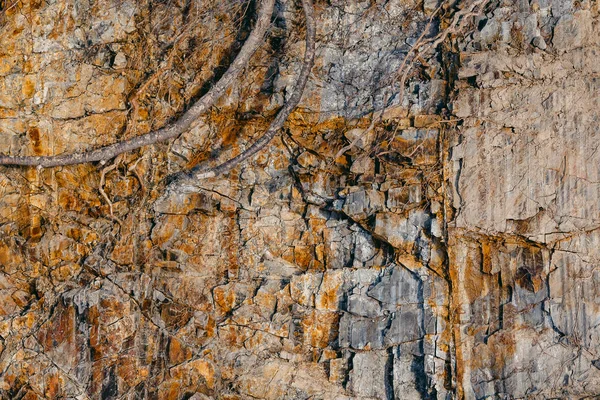 Corte de la roca y el suelo de la tierra — Foto de Stock