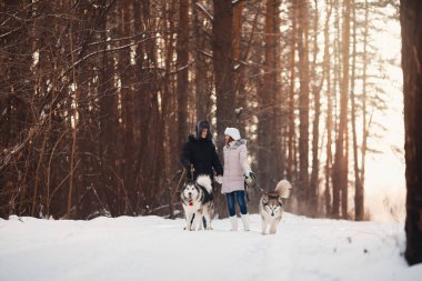 Kışın köpek yürüyüş