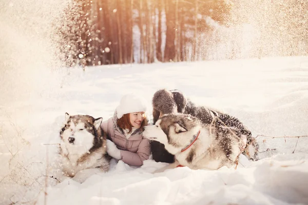Procházky se psem v zimě — Stock fotografie