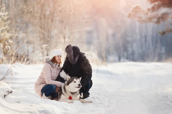 Прогулка с собакой зимой — стоковое фото