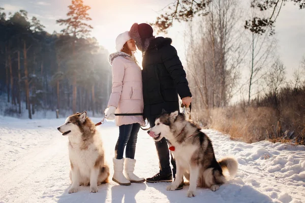 Прогулка с собакой зимой — стоковое фото