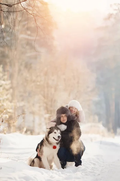 Περπάτημα με το σκύλο στο χειμώνα — Φωτογραφία Αρχείου