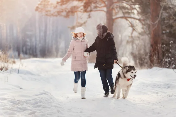 Caminhando com cão no inverno — Fotografia de Stock