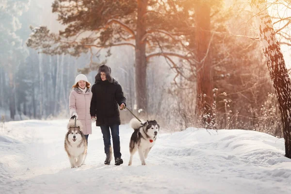 Ragazza Uomo Sta Giocando Correre Con Cane Nella Neve Vacanze — Foto Stock